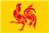Jack Russell opdrættere og hvalpe i Wallonien,Hainaut, Liège, Luxembourg, Namur, Walloon Brabant, Walloon Region
